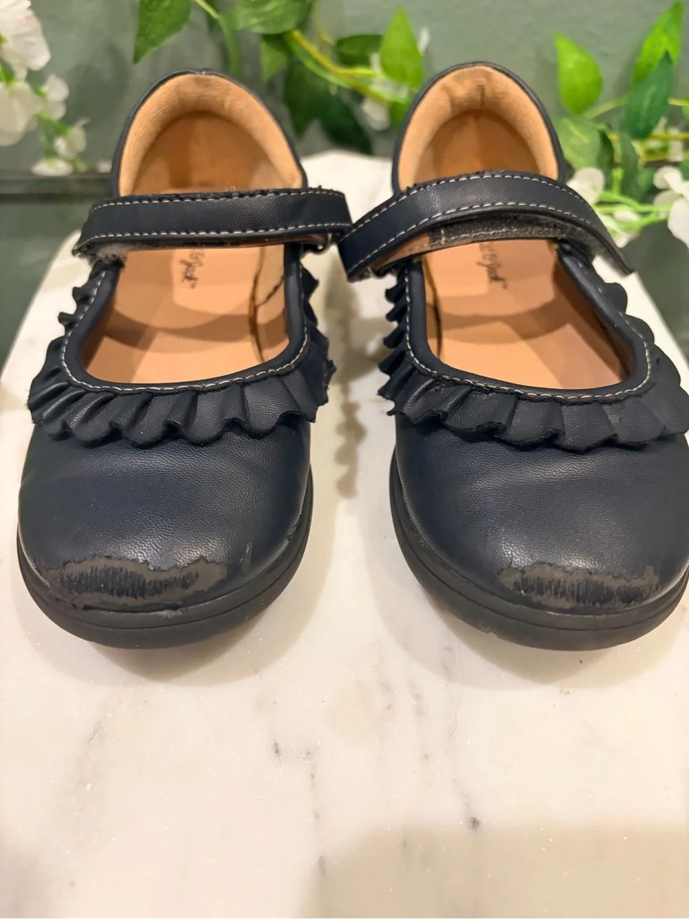 Cat & Jack classic navy
